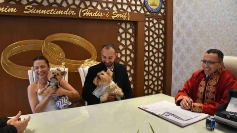 Gaziantep'te Köpeklerle Nikah Töreni