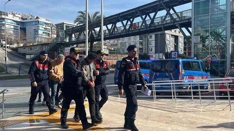 Alanya'da Avokado Hırsızlığı Olayı