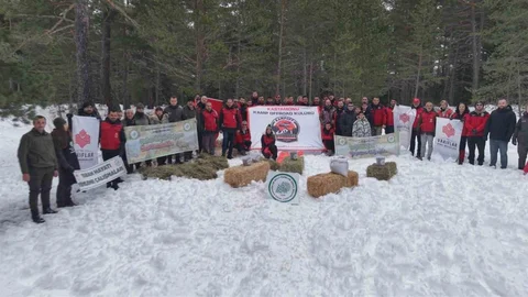 Kastamonu'da Yaban Hayvanlarına Yem Bırakıldı