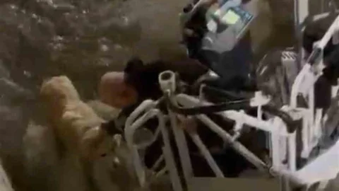 Karabük'te Su Kanalında Mahsur Kalan Köpek Kurtarıldı