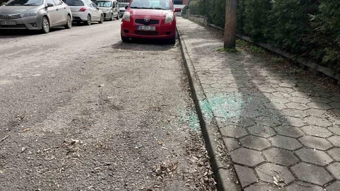 Eskişehir'de Beş Aracın Camları Kırıldı