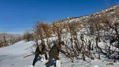 Gercüş’te Orman Ekibi Doğaya Destek Verdi