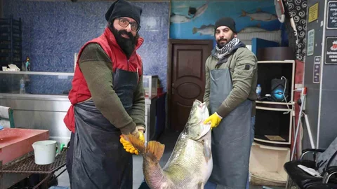 Elazığ'da Dev Turna Balığı Yakalandı