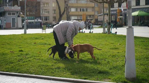 Kış Ortasında Sıcak Günler Sakarya’da Devam Ediyor