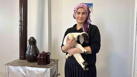 Hakkari'de Annesiz Kalan Kuzu 'Umut' Oldu