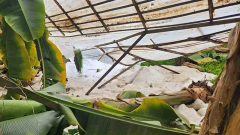 Mersin'de Dolu Felaketi Yaşandı