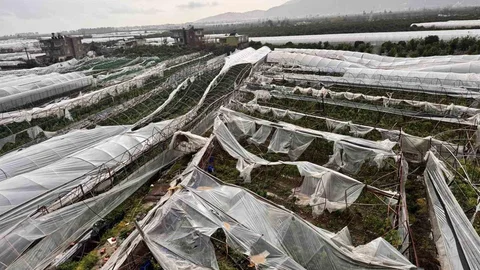 Finike'de Hortumun Verdiği Hasar Ortaya Çıktı