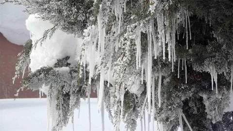 Bitlis'te Karla Mücadele İçin Rekor Harcama