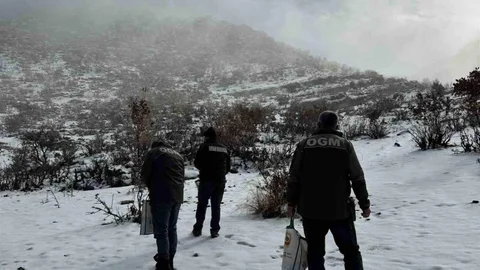 Dondurucu Soğuklarda Yaban Hayata Destek