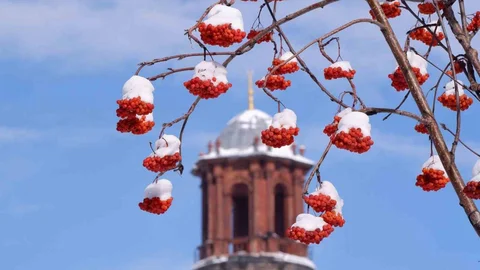 Erzurum'da Buzlanma ve Don Uyarısı