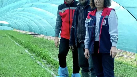 Aydın'da Salep Orkidesi Üretimi Artıyor