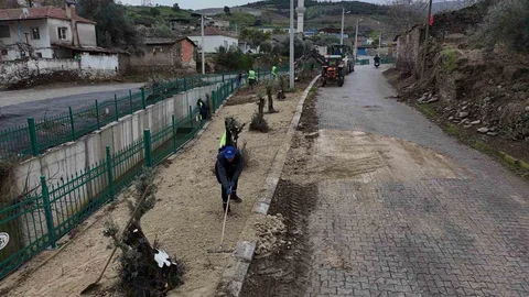 Yenipazar'da Temizlik ve Bakım Çalışmaları