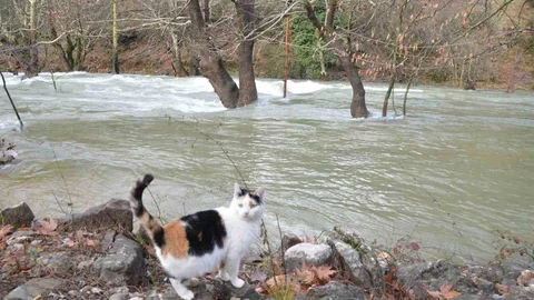 Toroslar'da Yağışlarla Şelaleler Coştu