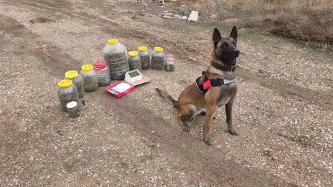 Karaman'da Uyuşturucu Operasyonu