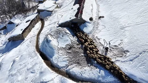Hakkari'de Çiftçilerin Kış Mücadelesi