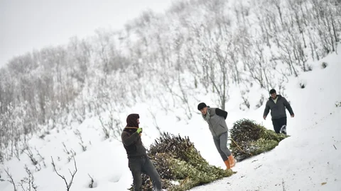 Muş'ta Besicilerin Kış Mücadelesi