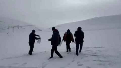 Darende'de Yaban Hayvanlarına Destek