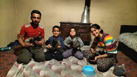 Antalya'da Yavru Köpeklere Sahip Çıkıldı