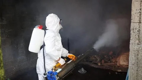 Ordu'da 300 Bin Kışlak İlaçlanıyor