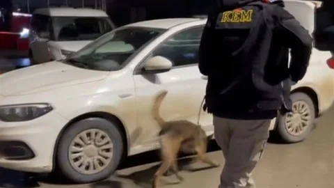 Kahramanmaraş'ta Uyuşturucu Operasyonu