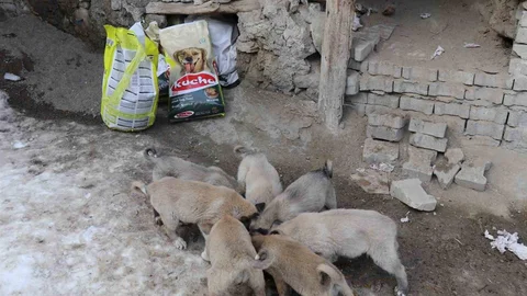 İstanbul'dan Erzurum'a Yardım Gönderildi