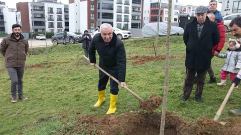 Nilüfer'de Yeşil Alan Çalışmaları Başladı