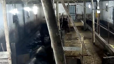 Tokat'ta Ahır Çatısı Çöktü