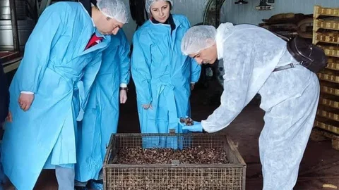 Afyonkarahisar'da Mama Tesisinde Denetim