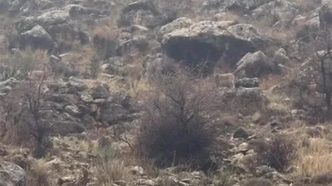 Hasankeyf'te Duyarlı Sürücü Davranışı