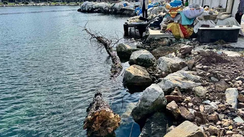 Yalova'da Tehlikeli Yüzen Ağaç Kıyıya Çekildi