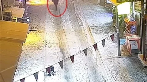 Elazığ'da Restoranlara Silahlı Saldırı