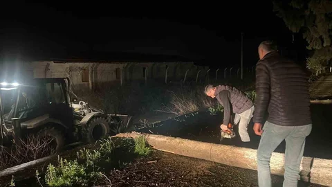 Aydın'da Fırtına Mezarlıkta Ağaçları Devrildi