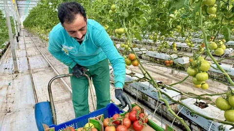 Ağrı'da Jeotermal Üretim Avrupa'ya Açılıyor