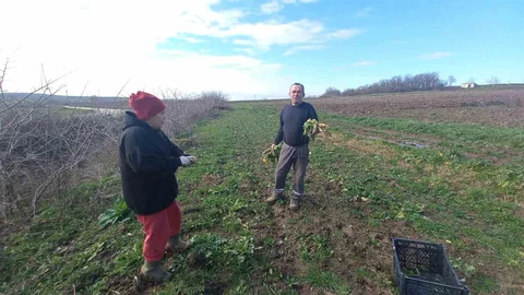 Edirne'de Çiftçilikle Gelecek İnşa Ediliyor