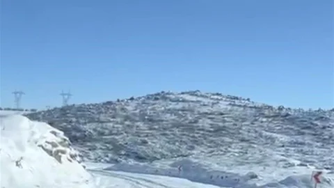 Diyarbakır'da Aç Kalan Yaban Hayvanları