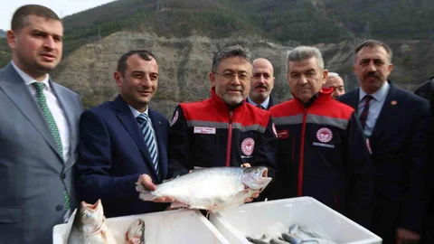 Türk Somonu İhracatı 500 Milyon Dolar Oldu