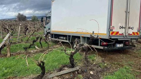 Denizli'de Kamyon Üzüm Bağına Girdi