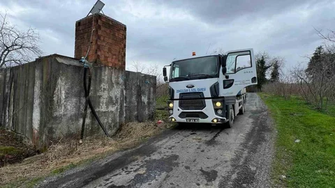 Alaplı'da Ölü Tavuklar Sorunu