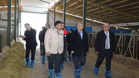 Elazığ'da Hayvancılık Altyapısı İncelendi