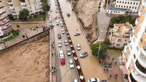 Mersin'de Selle Mücadele Çalışmaları Devam Ediyor