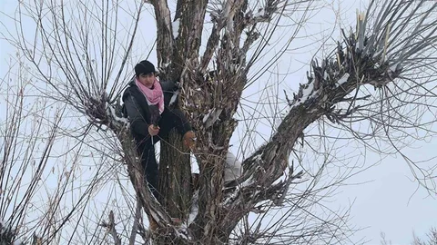 Muş'ta Besiciler Alternatif Yem Kullanıyor