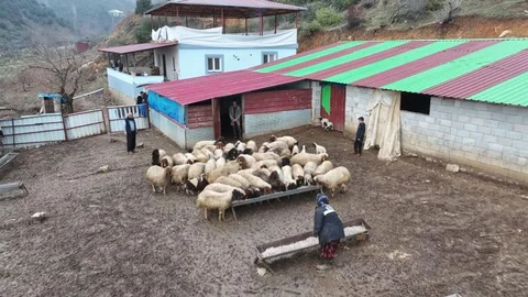 Gaziantep'te Depremzedelere Devlet Desteği