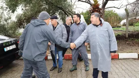 Bayındır'da Nergis Festivali İptal Edildi