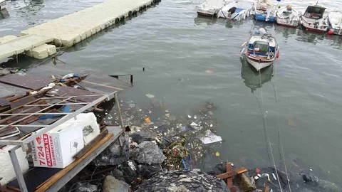 Pendik'te Atık Su Problemi Büyüyor