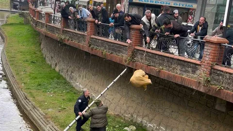 Rize'de Dere Yatağında Mahsur Kalan Köpek Kurtarıldı