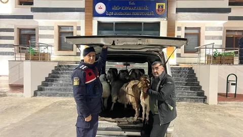 Sahte Para İle Dolandırıcılık Operasyonu