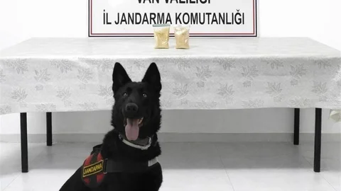 İranlı Şahıs Üzerinde Eroin Yakalandı