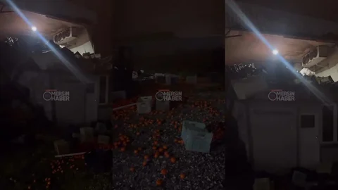 Mersin Tarsus'ta Narenciye Deposu Çöktü