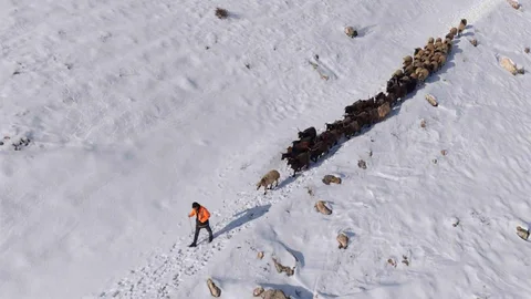 Mardin'de Besicilerin Zorlu Kar Mücadelesi