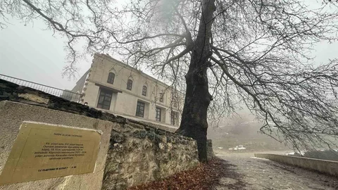 Lice'deki Tarihi Camii Sisle Kaplandı